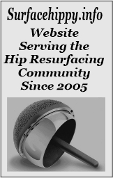 Surfacehippy.info Website