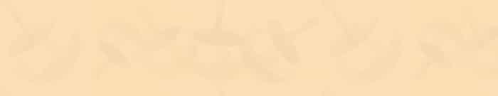 Hip Resurfacing Information at Surface Hippy