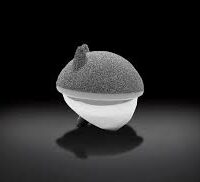 polymotion 2026 Hip Resurfacing Devices Explained